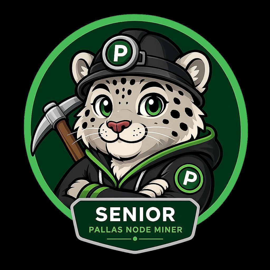 Senior Pallas Node Miner